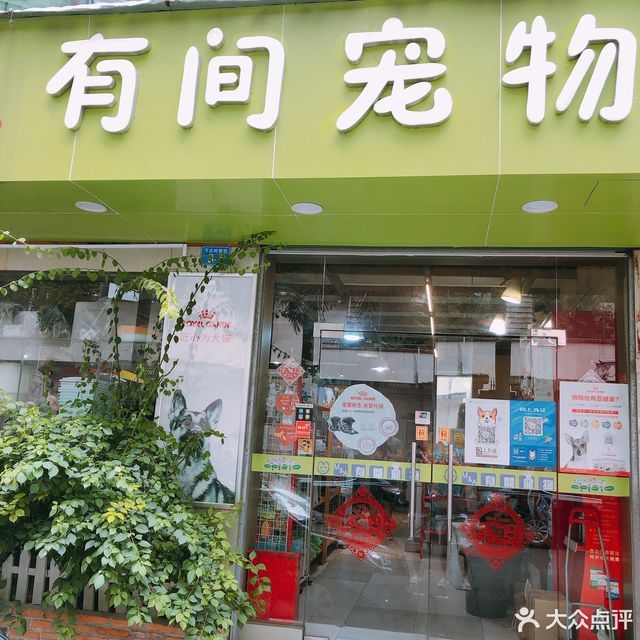 下沙宠物店-下沙宠物市场