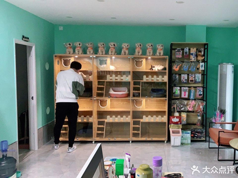 牡丹江宠物店-牡丹江宠物店洗澡多少钱