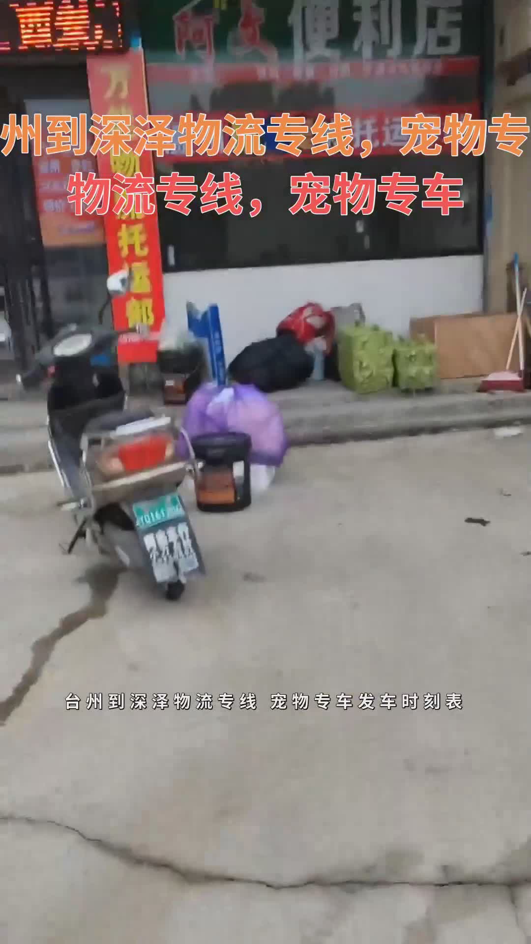 台州宠物市场-台州市宠物市场