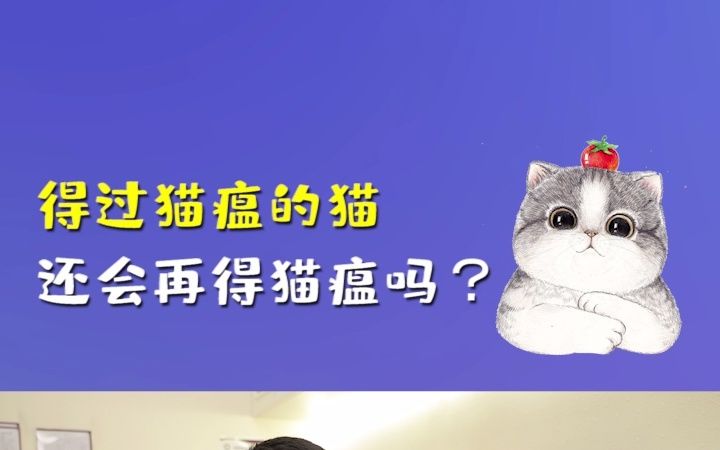 猫瘟会传染吗-猫瘟会传染吗给猫吗