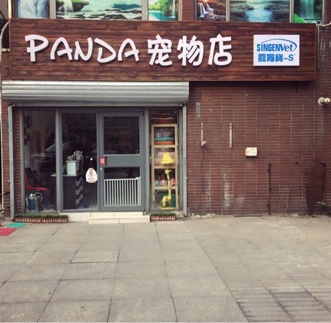 开个宠物美容店挣钱吗-开宠物美容店需要什么手续和证件