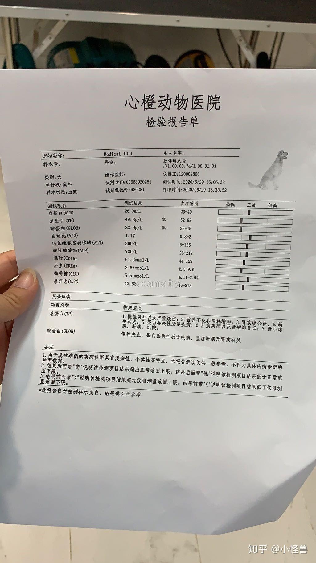 宠物的CRP-宠物的宠怎么写