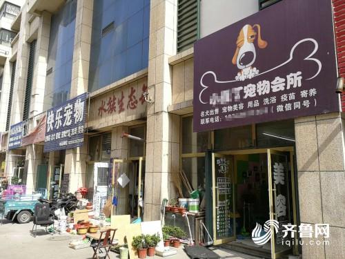 宠物店能开在居民区吗-宠物店能开在居民区吗现在