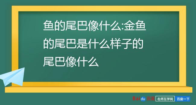 鱼的尾巴像什么-鱼的尾巴像什么形状