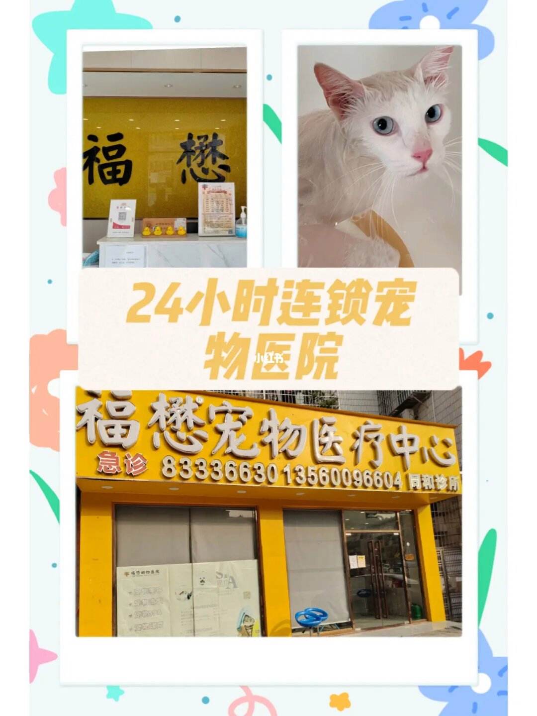 广州的宠物店-广州的宠物店下班时间是几点