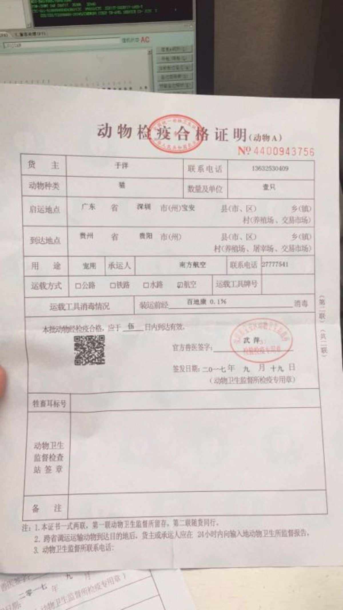 宠物托运要办什么手续-宠物托运要办什么手续才能托运