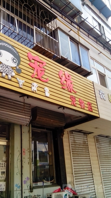 秦皇岛哪家宠物店收狗-秦皇岛收养小狗的地方在哪里