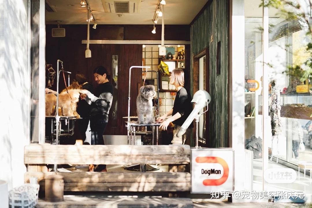 宠物店怎样环境消毒-宠物店怎样环境消毒的