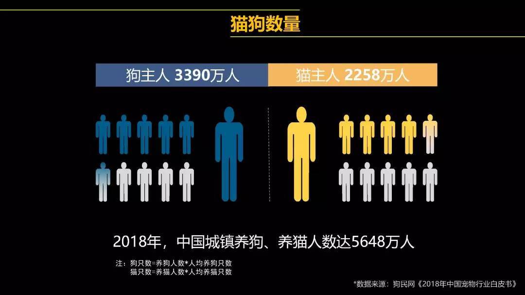 中国宠物大省-全国宠物数量排名