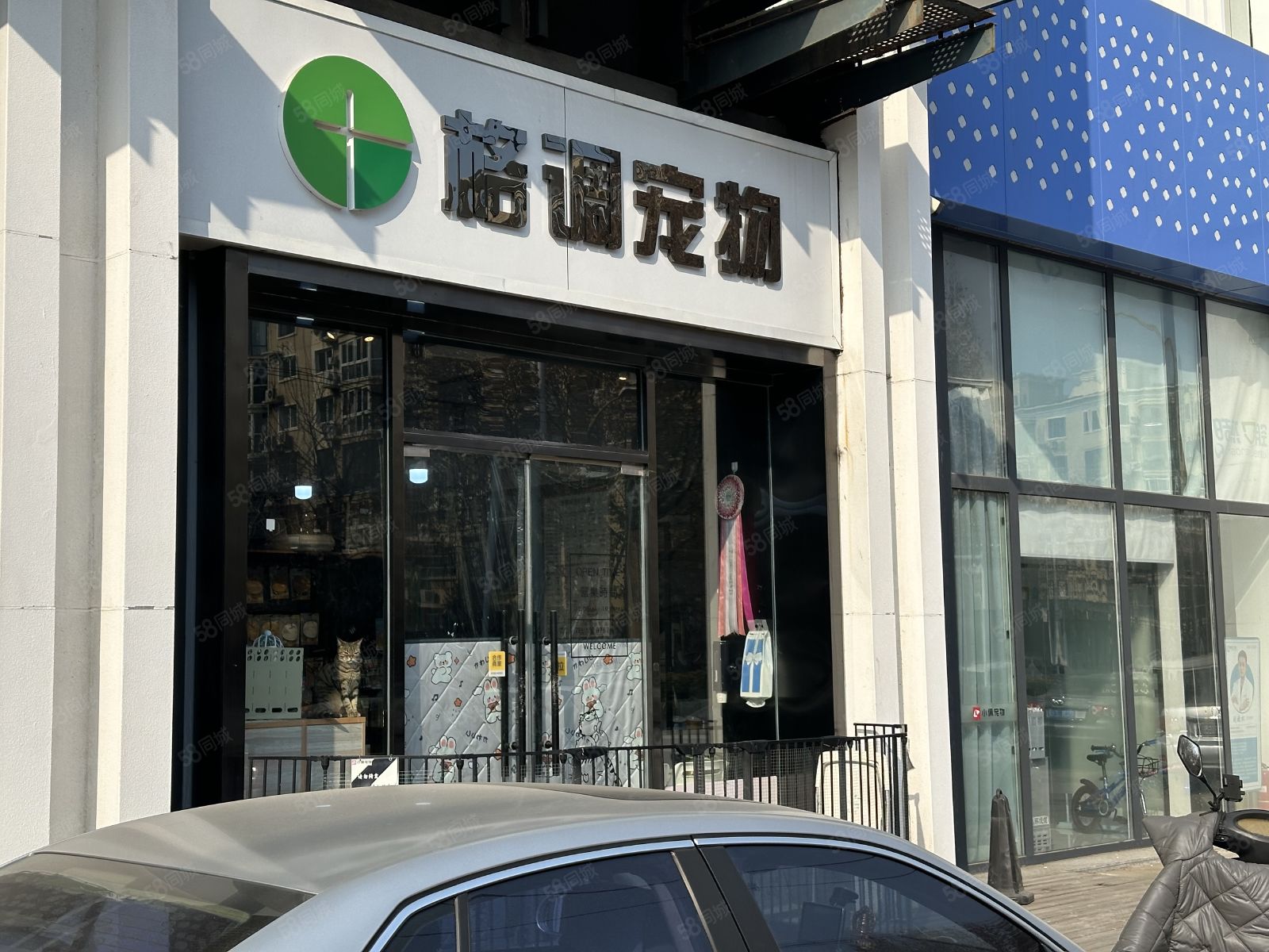 天津卖宠物的宠物店-天津卖宠物的宠物店在哪里