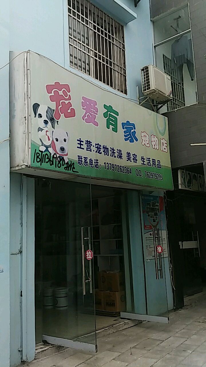 清河宠物店-清河宠物店宠物价格