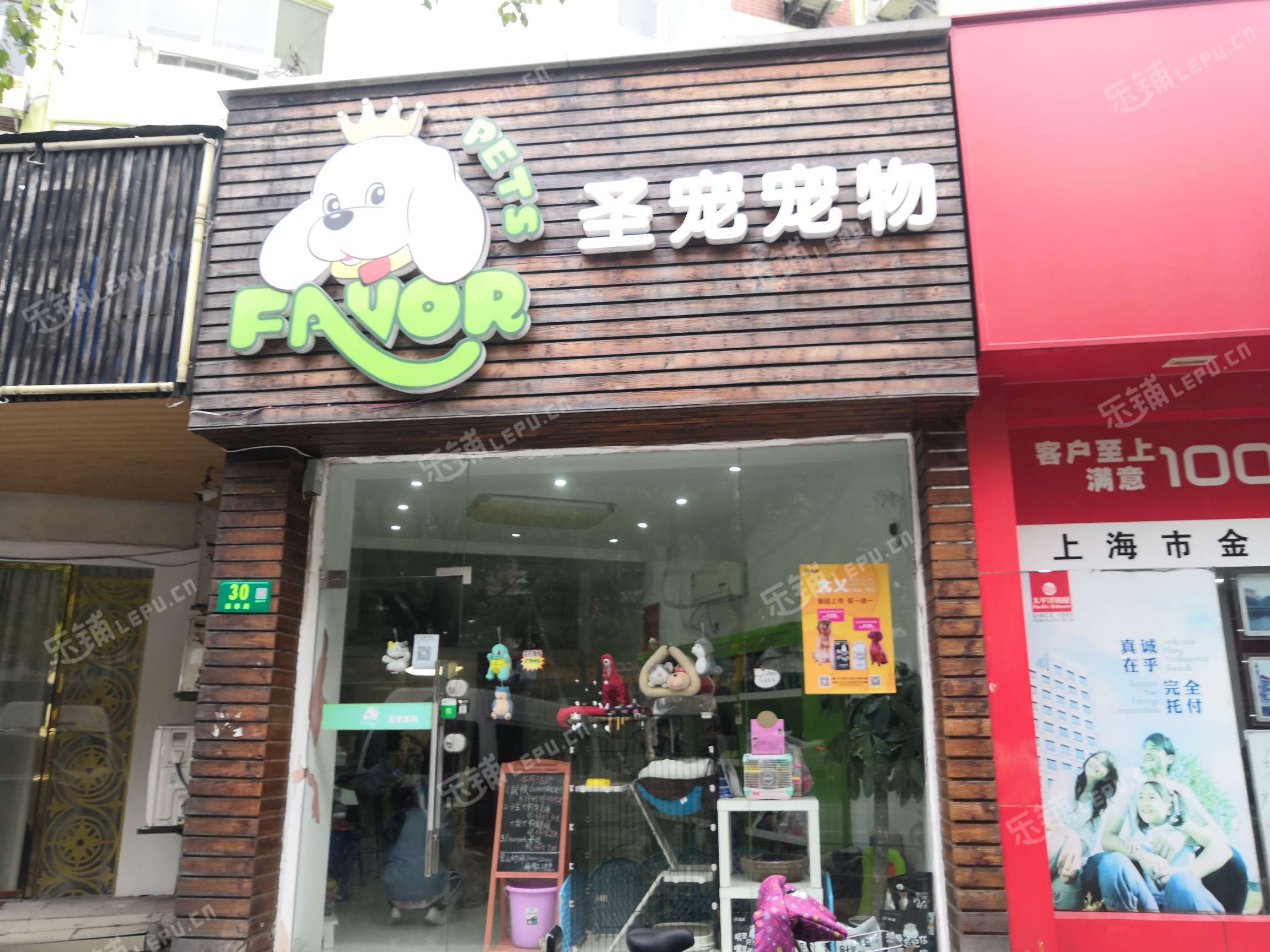 三林附近宠物店-三林附近的花鸟市场