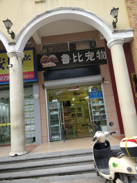 口碑好的宠物店在哪里-口碑好的宠物店在哪里进货