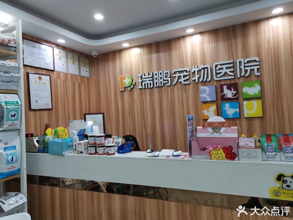 瑞鹏宠物店电话是多少-瑞鹏宠物店电话是多少号码