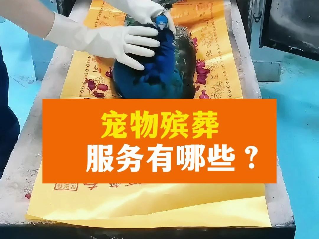 宠物安葬需要什么手续-宠物安葬需要什么手续和费用