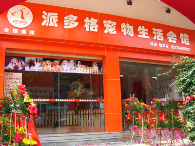 大庆派多格宠物店-大庆派多格宠物店在哪